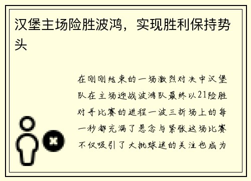 汉堡主场险胜波鸿，实现胜利保持势头